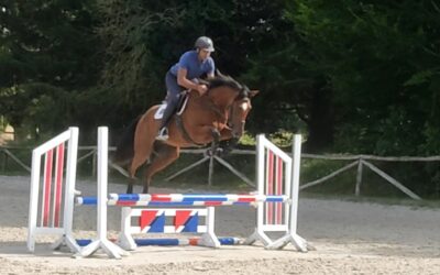 KITADOR MINIERE rejoint les écuries de Cyrielle Lefèvre, cavalière internationale de concours complet!